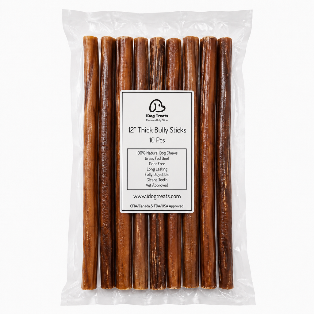 12" Thick Bully Sticks / 10 Pcs