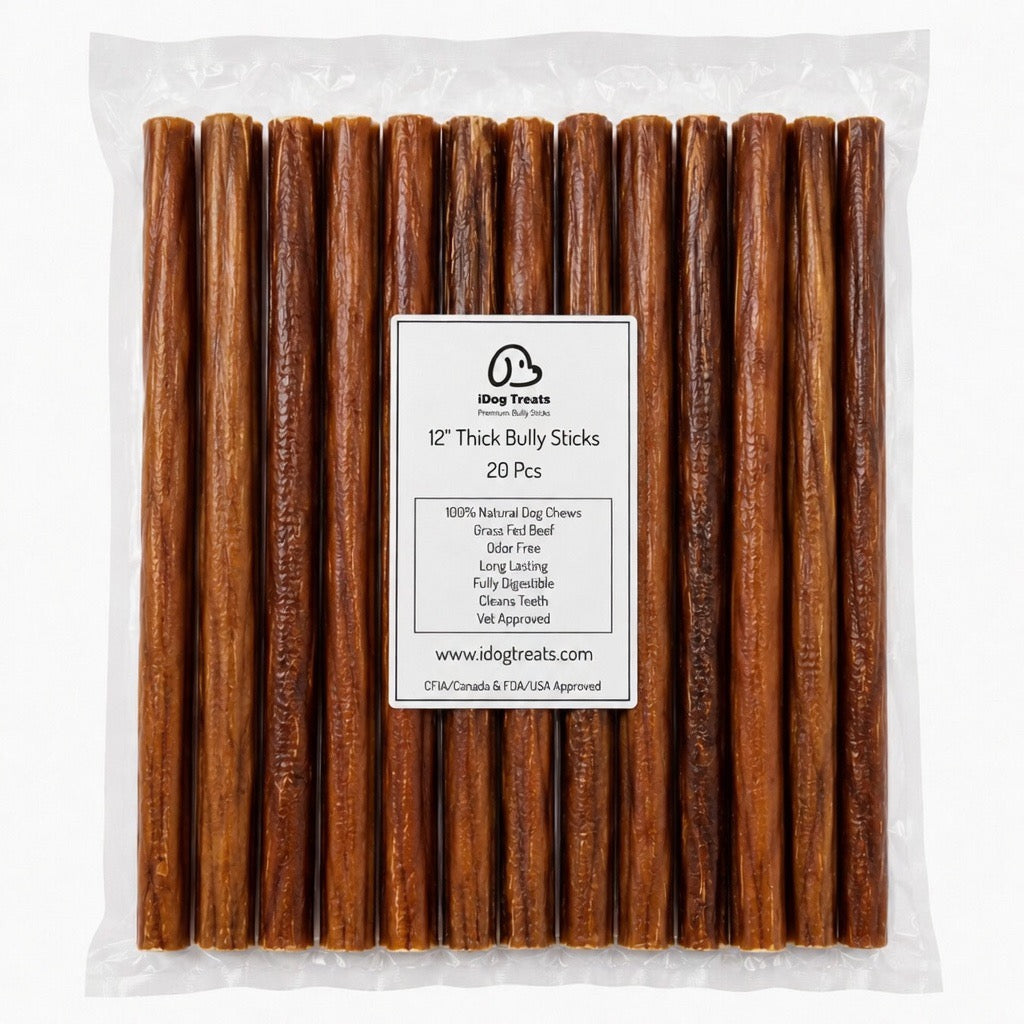 12" Thick Bully Sticks / 20 Pcs