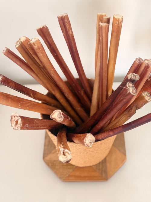 12" Standard Bully Sticks / 10 Pcs